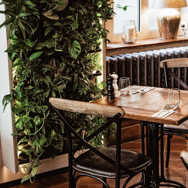 Restaurace Cucina